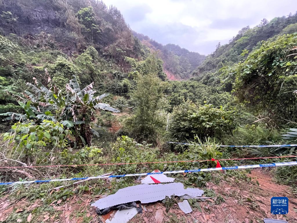 搜寻与风雨赛跑藤县空难坠机现场见闻