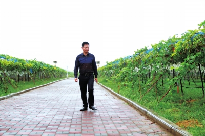 上市公司高管回乡务农年入上百万 想让乡亲们