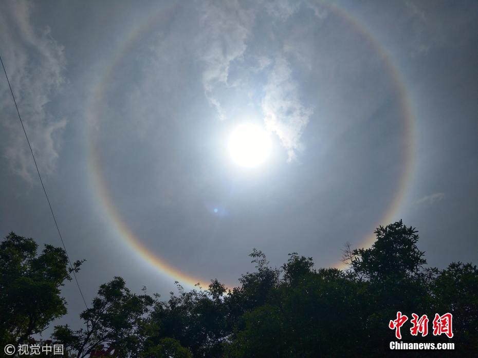 日照当头,太阳周围被一个硕大的光圈包裹,形成一幅绝美景象,网友惊呼"