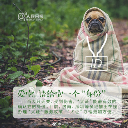 狗患还是人患？杭州规定遛狗时间是怎么回事？背后原因及详情始末惊呆你我