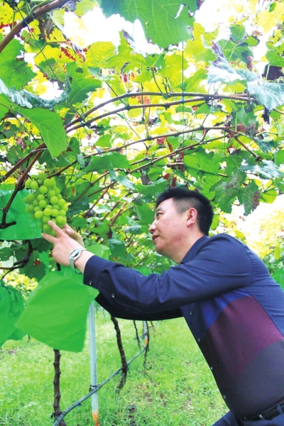 上市公司高管回乡务农年入上百万 想让乡亲们