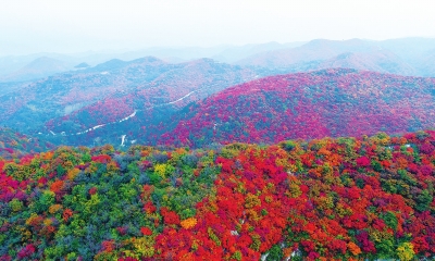 百花争奇素万树竞风骚 “多彩”河北是若何绘成的