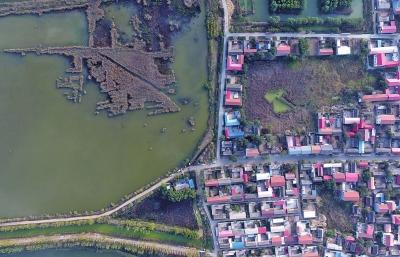 河南：湿地“成群” 重点打造郑州黄河中央湿地公园