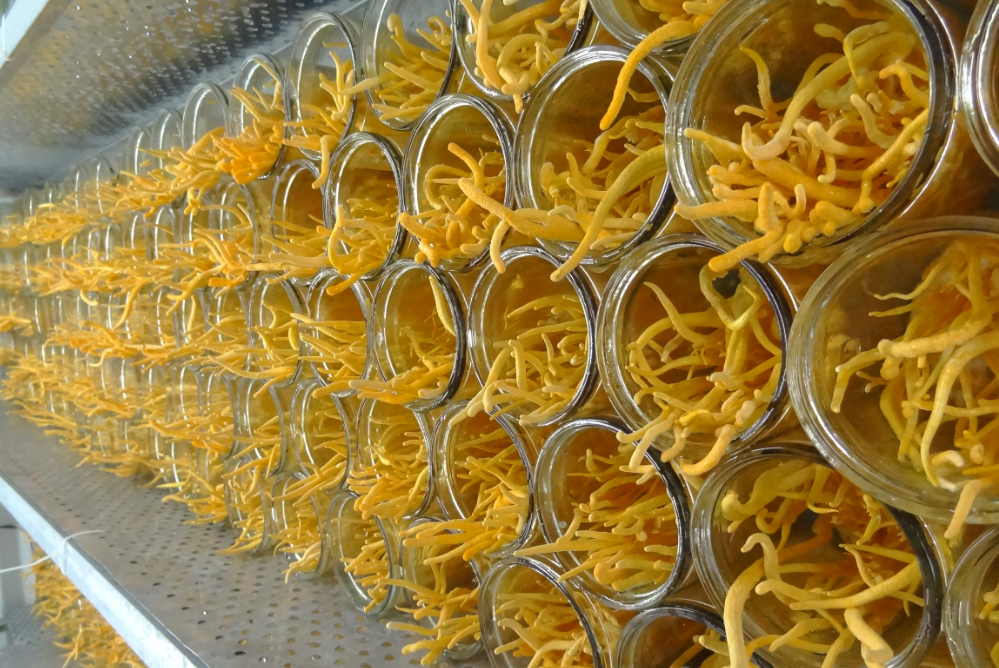 微信截图_20181228163253