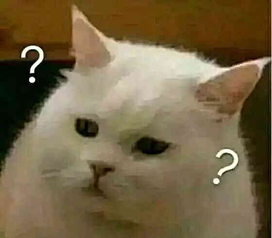 动车占座大妈抓伤劝让乘客:他们骂我不要脸,气