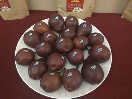 FkfxgDr3qeevfajq4vEt_ankGADz