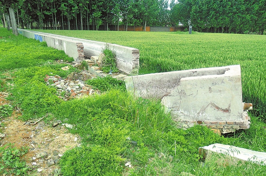 河南日报报道5月11日,到汝州市临汝镇临东村麦田观看小麦长势,发现地