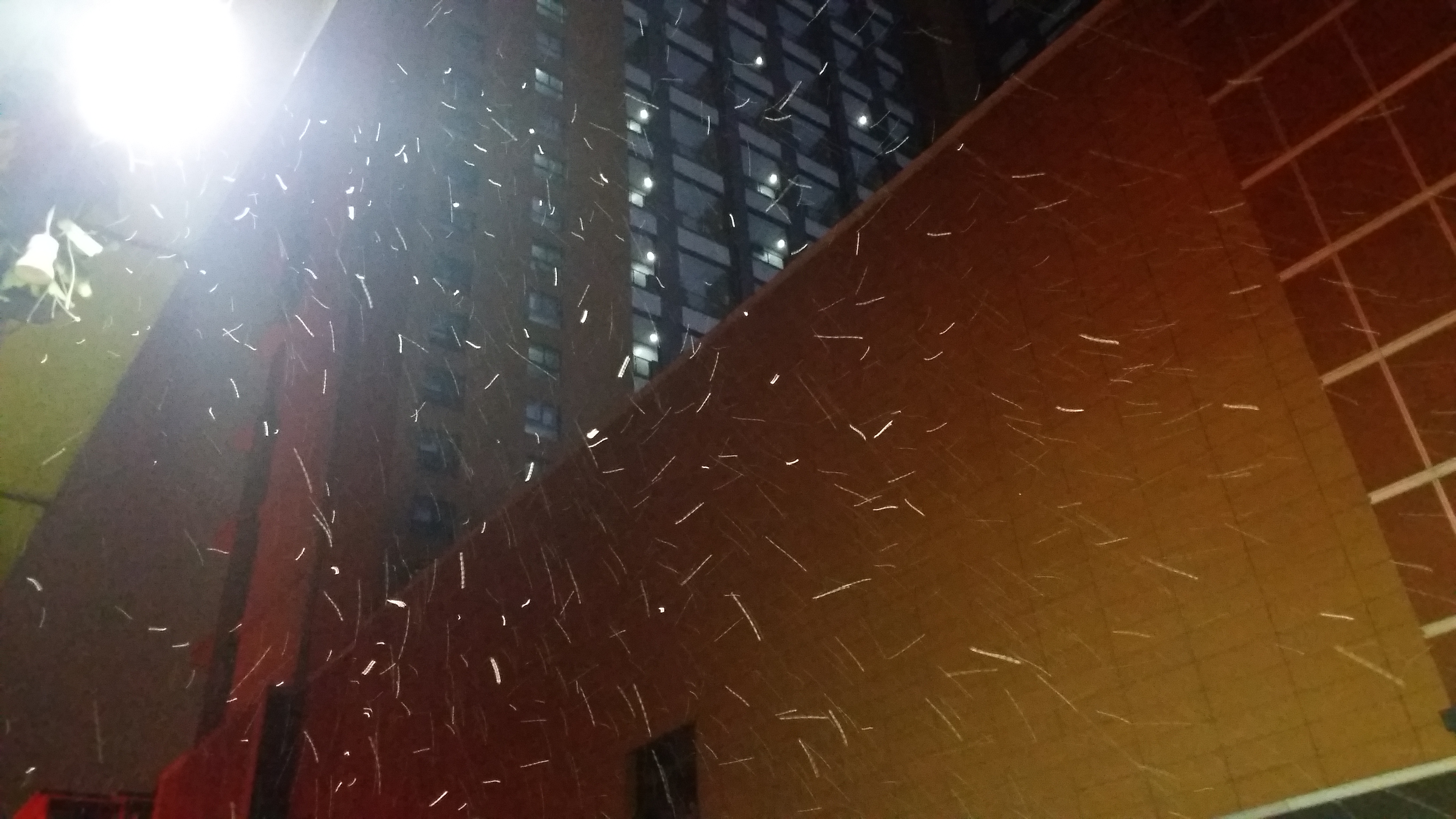 微信图片_20180103204446