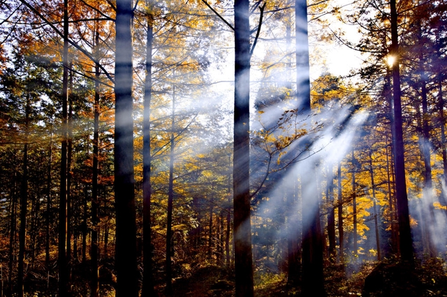 lhi98xbFuXiG00TcHhkoK3eVFOBO