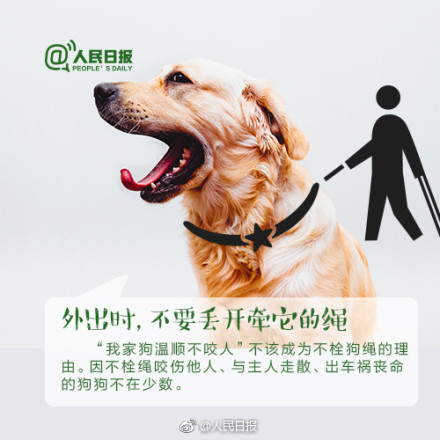 狗患还是人患？杭州规定遛狗时间是怎么回事？背后原因及详情始末惊呆你我