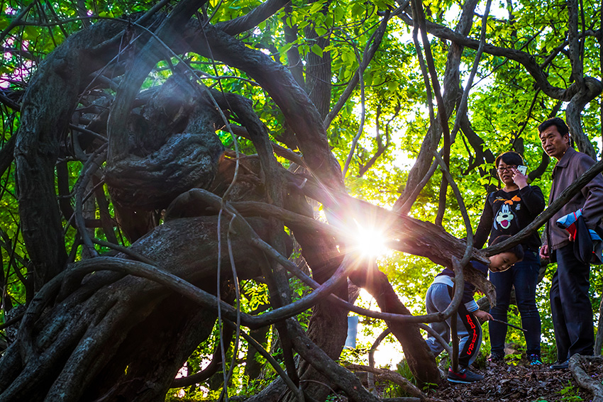 微信图片_20180703102625