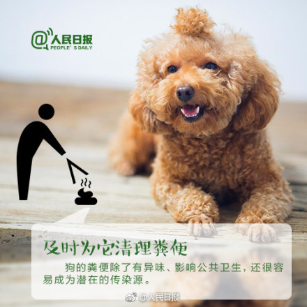 狗患还是人患？杭州规定遛狗时间是怎么回事？背后原因及详情始末惊呆你我