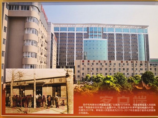 气大,有的挺小众,细数伟大的变革中的河南元