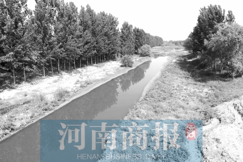启动生态水系建设以来,郑州的河流实现蜕变