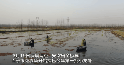 医疗：你们值得最高礼遇！