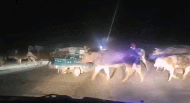 洪水|“皖”手相助，患难“豫”共！安徽，谢谢你！