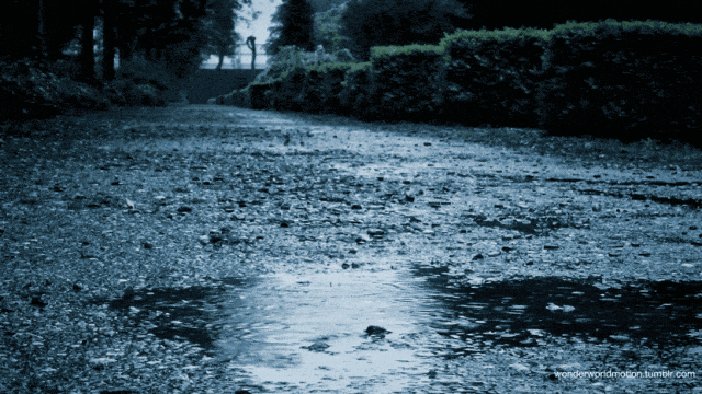 气温爆降10℃!局部暴雨!河南冷空气狂刷"存在感"-大河网