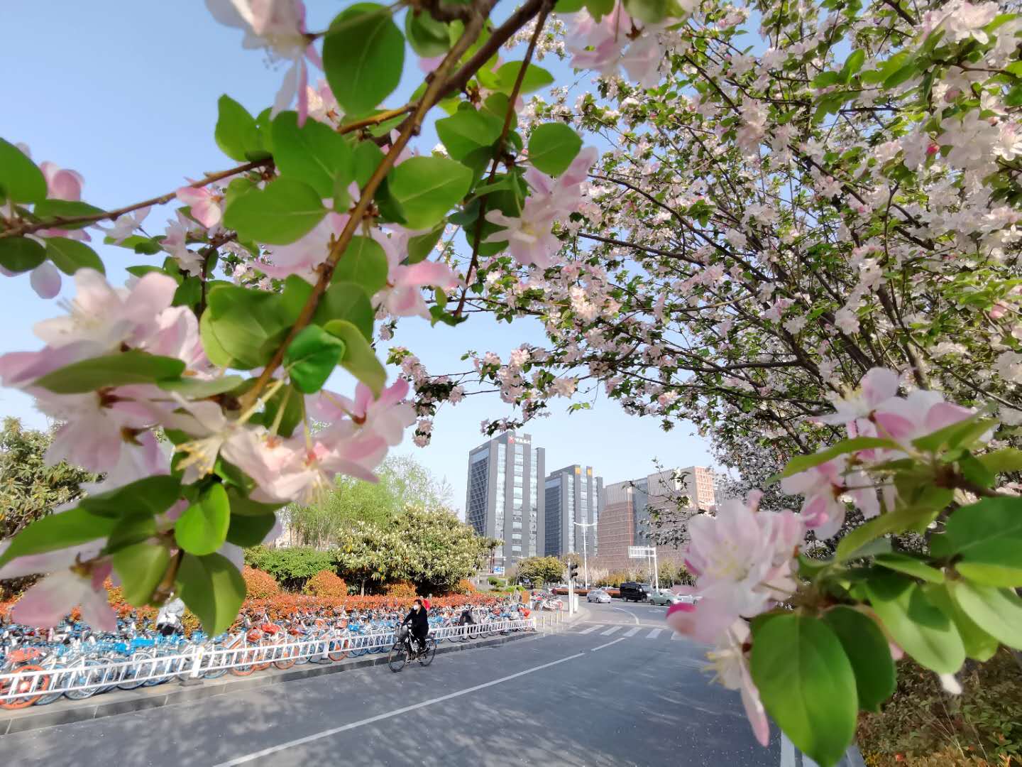 #天气#雷电！大风！河南多地将迎来降温和小雨