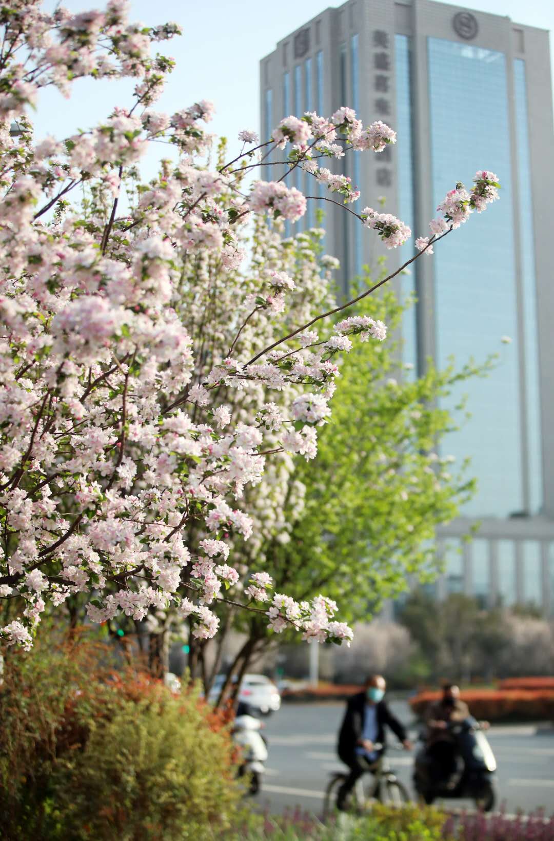 #天气#雷电！大风！河南多地将迎来降温和小雨