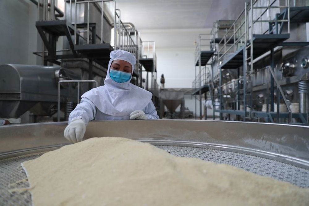 【贫困地区】保供应 稳就业 促脱贫——甘肃深度贫困地区脱贫复工一线观察