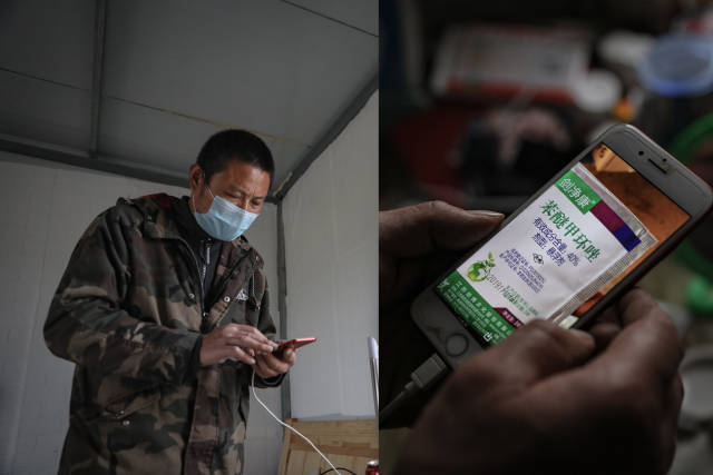 [武汉生活]武汉花农开始复耕：最高兴是看到花开