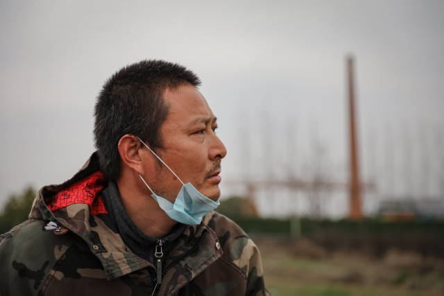 [武汉生活]武汉花农开始复耕：最高兴是看到花开