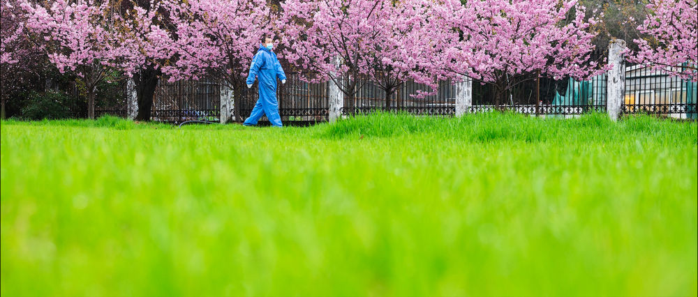『』听，春天的声音！