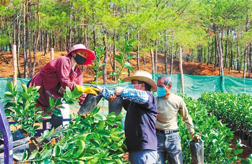 脱贫攻坚：拔掉穷根，不落一人——来自广东韶关的乡村调查