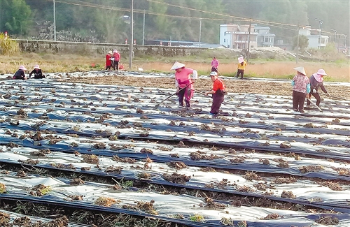 脱贫攻坚：拔掉穷根，不落一人——来自广东韶关的乡村调查