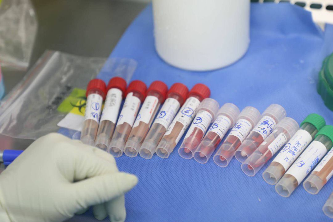 #传染病#病毒的“前世今生”