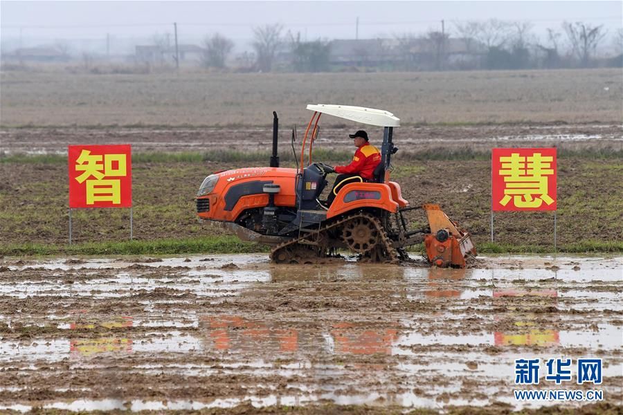 #农民#【地评线】荔枝网评：耕“云”播“雨”，绘画别样战“疫”春耕图