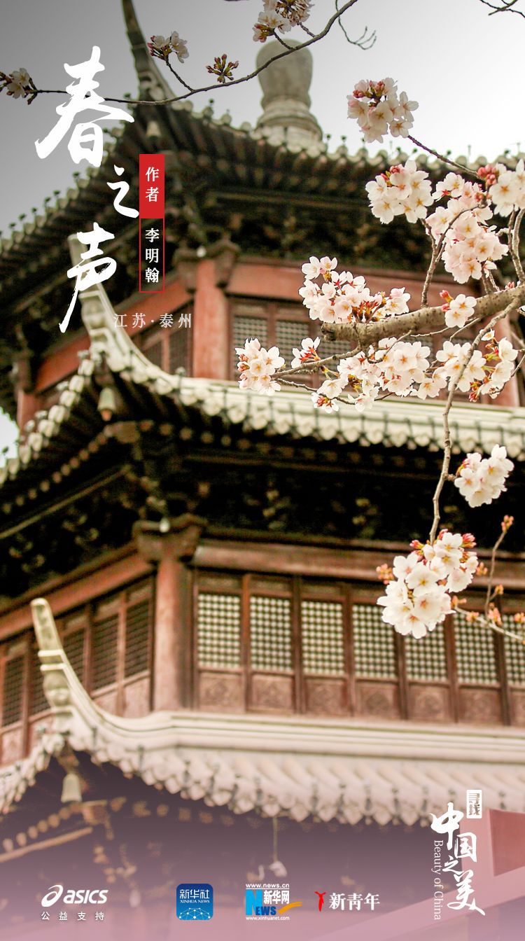 ：美得不像实力派