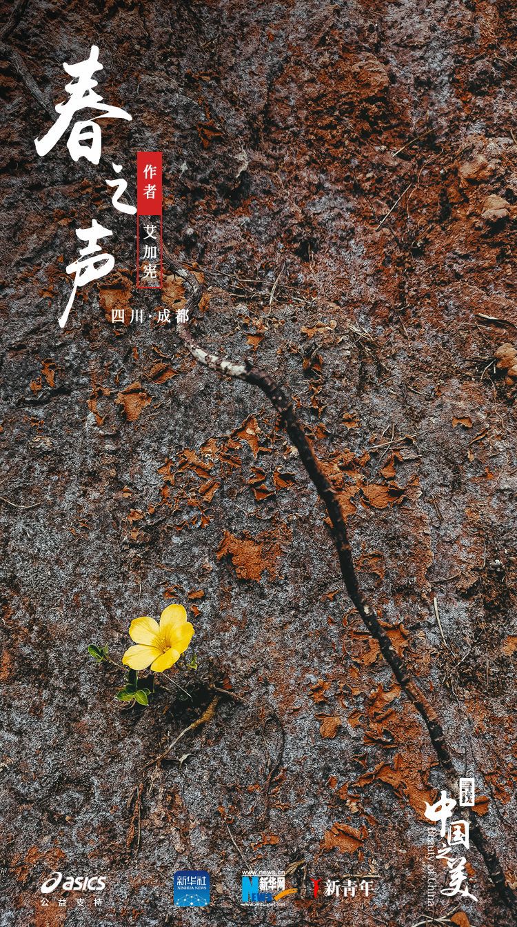 ：美得不像实力派