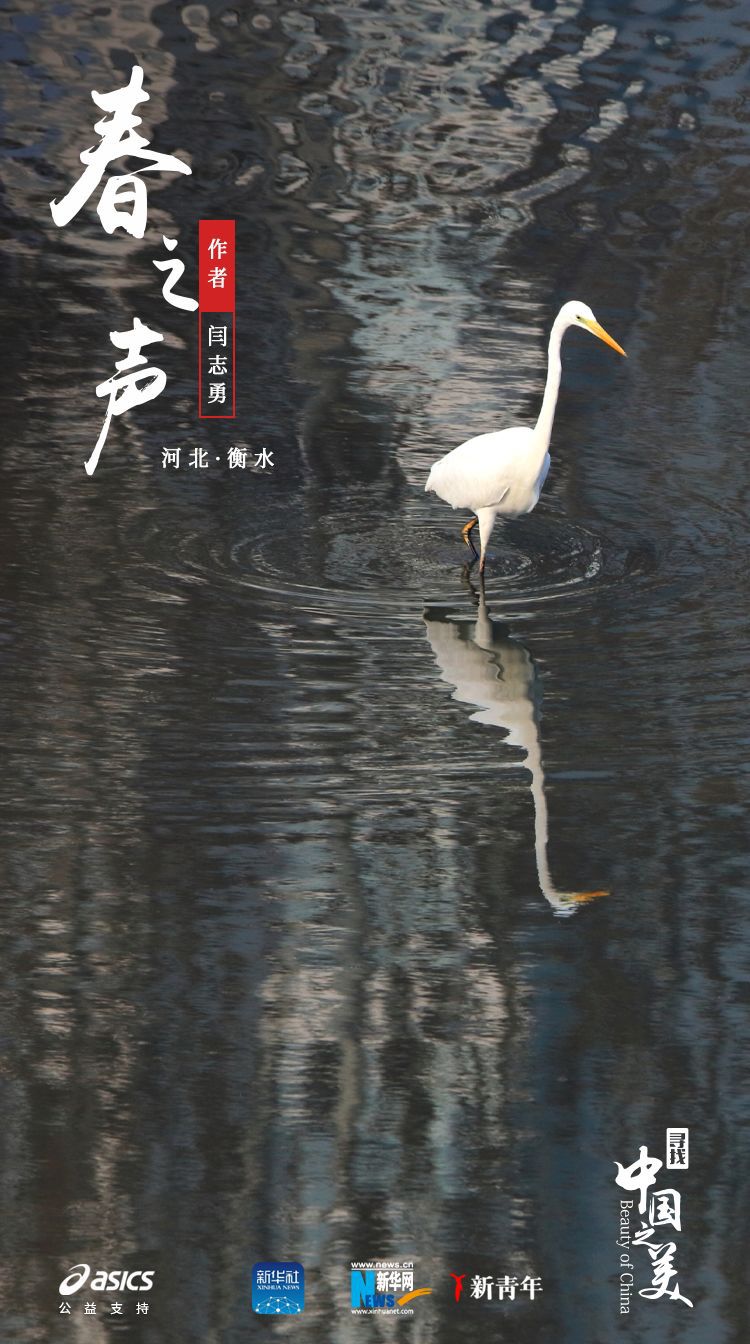 ：美得不像实力派