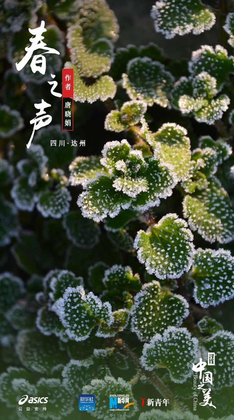 ：美得不像实力派