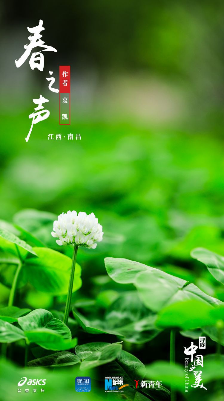 ：美得不像实力派