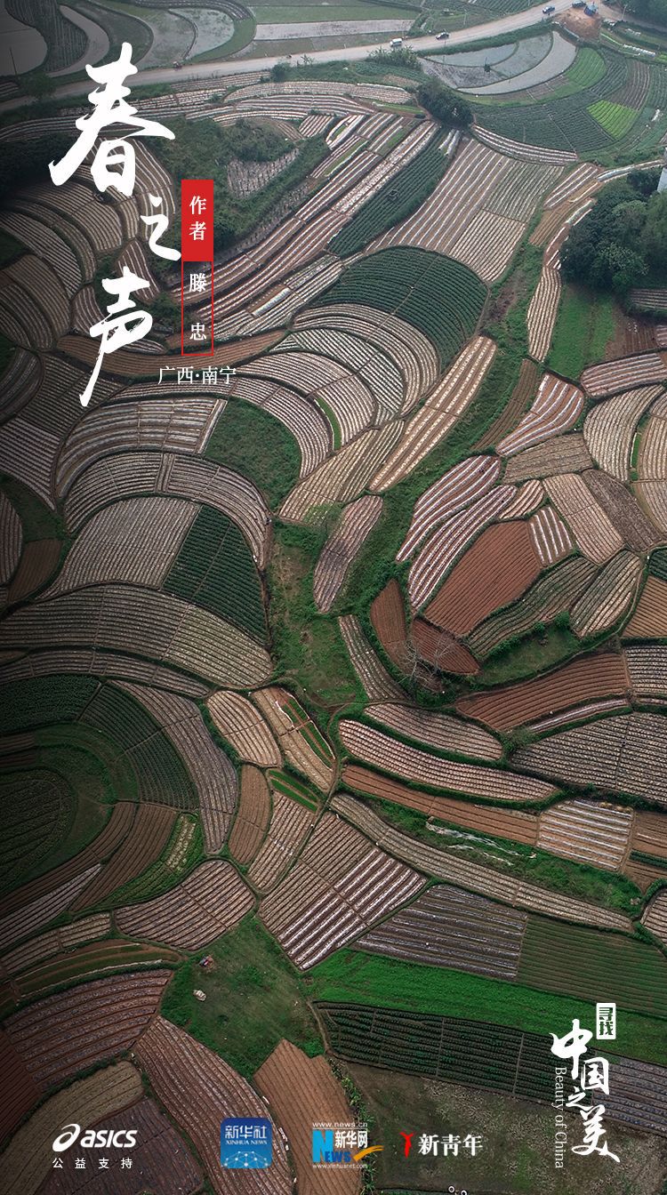 ：美得不像实力派