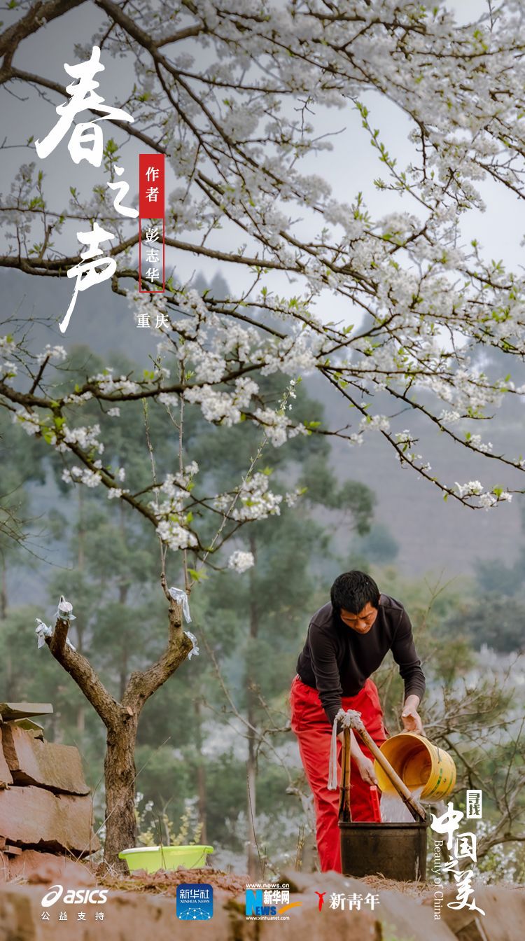 ：美得不像实力派