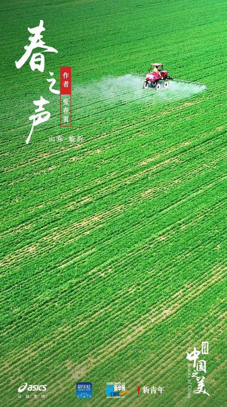 ：美得不像实力派