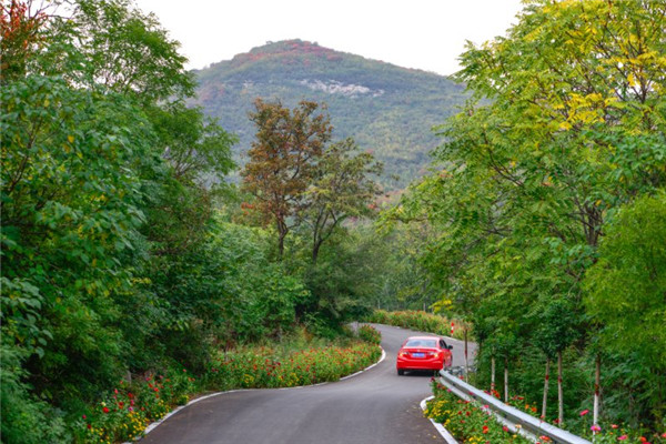『全域旅游』博爱：勾勒全域旅游大美画卷