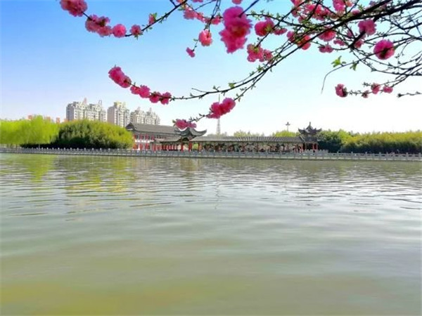 『全域旅游』博爱：勾勒全域旅游大美画卷