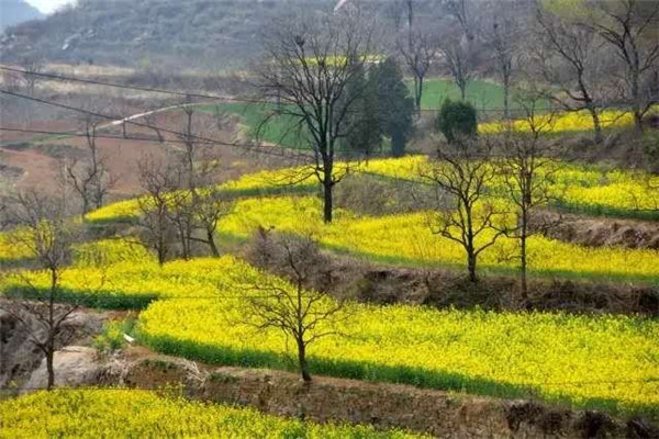 『全域旅游』博爱：勾勒全域旅游大美画卷