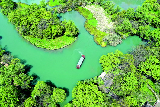 「湿地」“天堂绿肺”养成记 西溪湿地：从污水横流到城市生态建设标杆