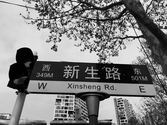 『疫情』一条名叫新生的路