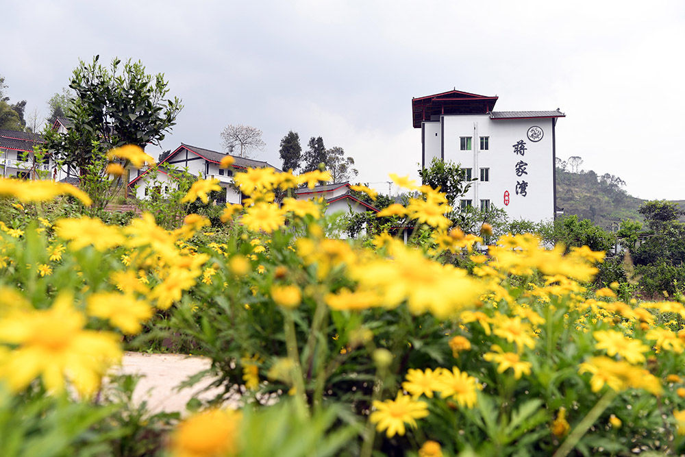 「丘陵」重庆渝北：“双十万工程”探索破解丘陵山区乡村振兴难题