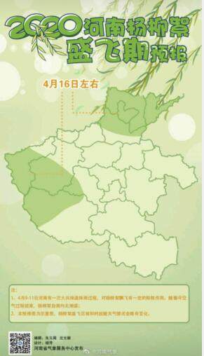 [柳絮]又要“降雪”？我省气象部门发布杨柳絮盛飞期预报