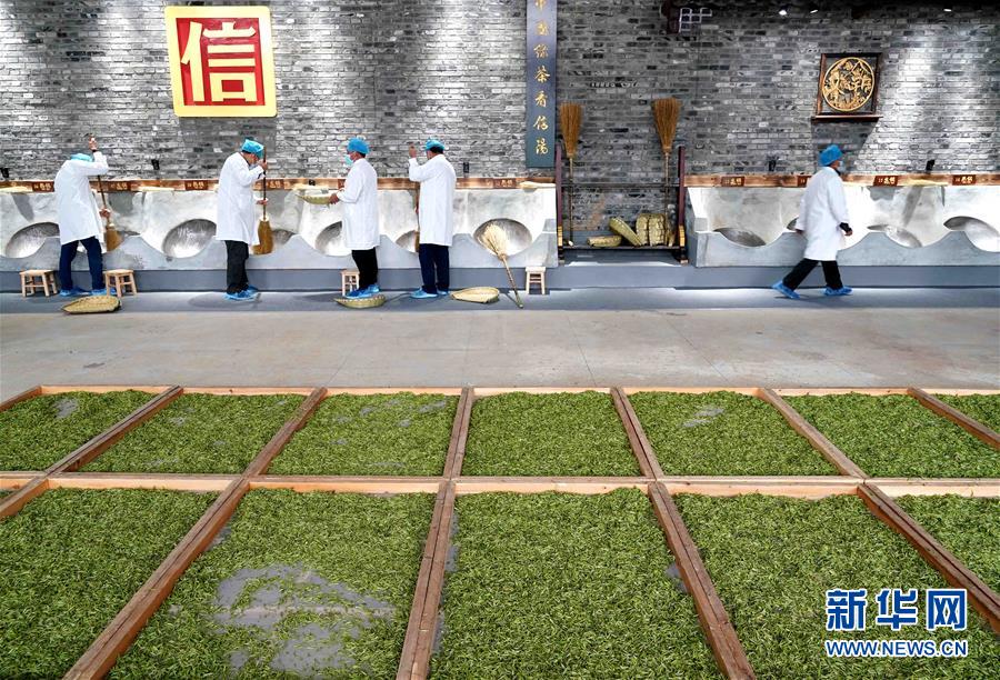 大别山■复苏，从一片茶叶开始——河南大别山区经济见闻