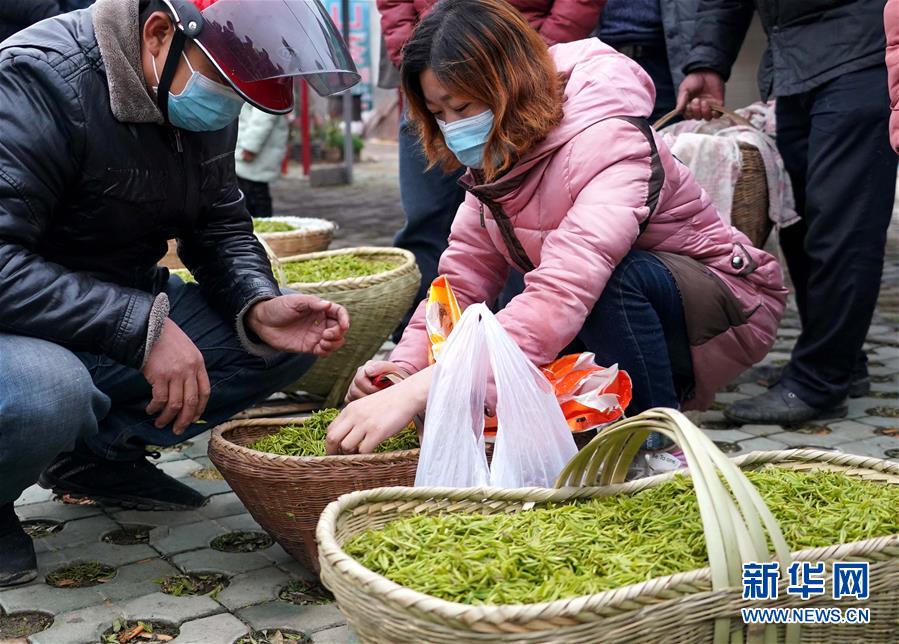 大别山■复苏，从一片茶叶开始——河南大别山区经济见闻