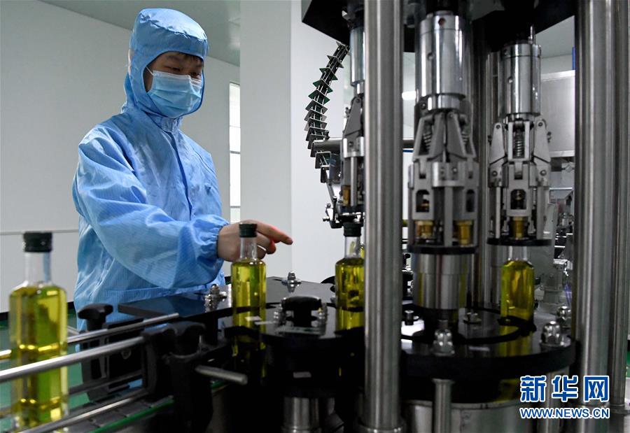 大别山■复苏，从一片茶叶开始——河南大别山区经济见闻