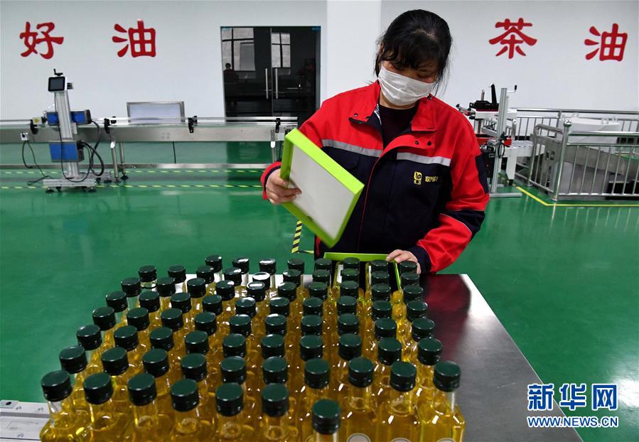 大别山■复苏，从一片茶叶开始——河南大别山区经济见闻